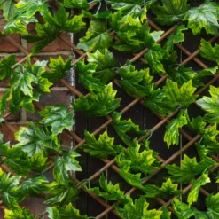 Apollo Maple Leaf Willow Trellis Panel (W)200cm X (H)100cm 5 Apollo Maple Leaf Willow Trellis Panel (W)200cm X (H)100cm -Outdoor Living Sales Store apollo maple leaf willow trellis panel w 200cm x h 100cm5037653779309 02i bq