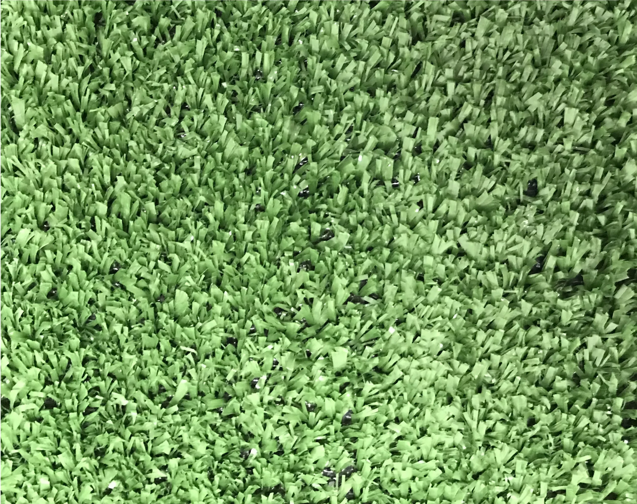 Boronia Artificial Grass (L)4m (W)2m (T)7mm 1 Boronia Artificial Grass (L)4m (W)2m (T)7mm