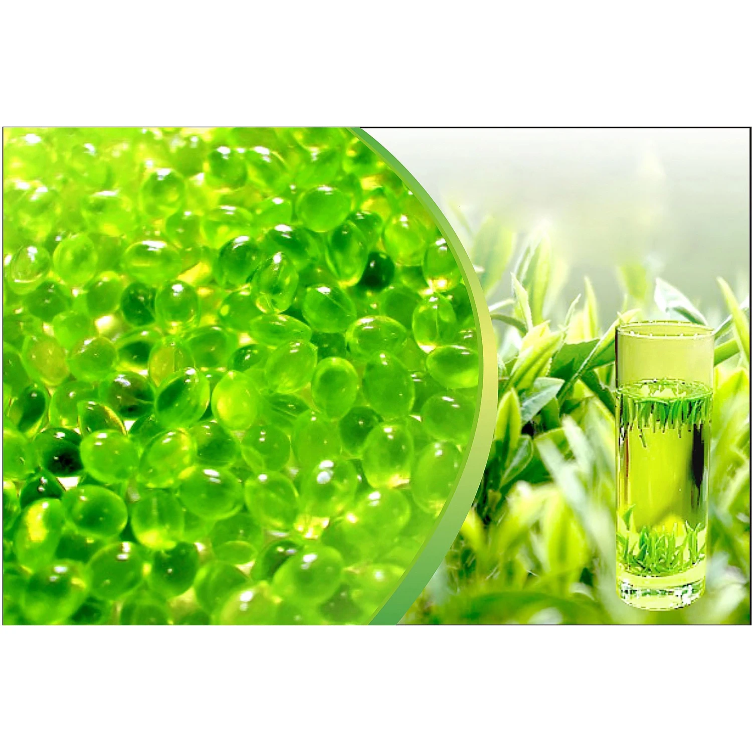Canadian Spa Company Green Tea Aromatherapy Scent 1 Canadian Spa Company Green Tea Aromatherapy Scent