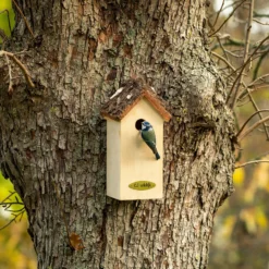 CJ Wildlife Larvik Natural Nest Box -Outdoor Living Sales Store cj wildlife larvik natural nest box5051054264639 02i