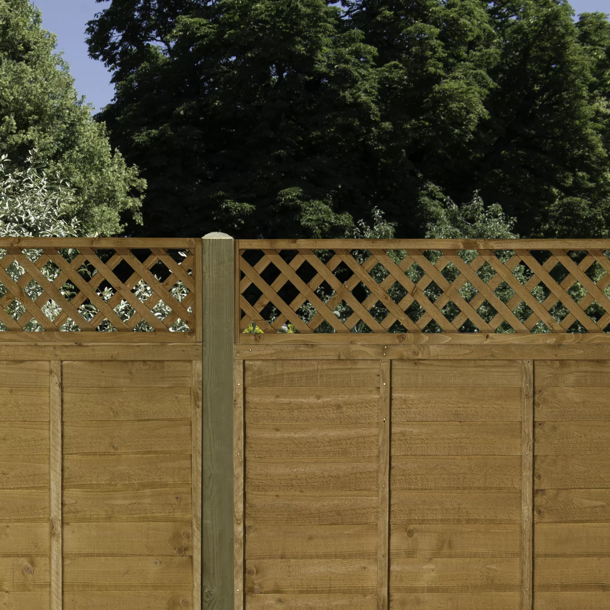 Diamond Pine Trellis Panel, Pack Of 3 (W)183cm X (H)32cm 3 Diamond Pine Trellis Panel, Pack Of 3 (W)183cm X (H)32cm - Image 3