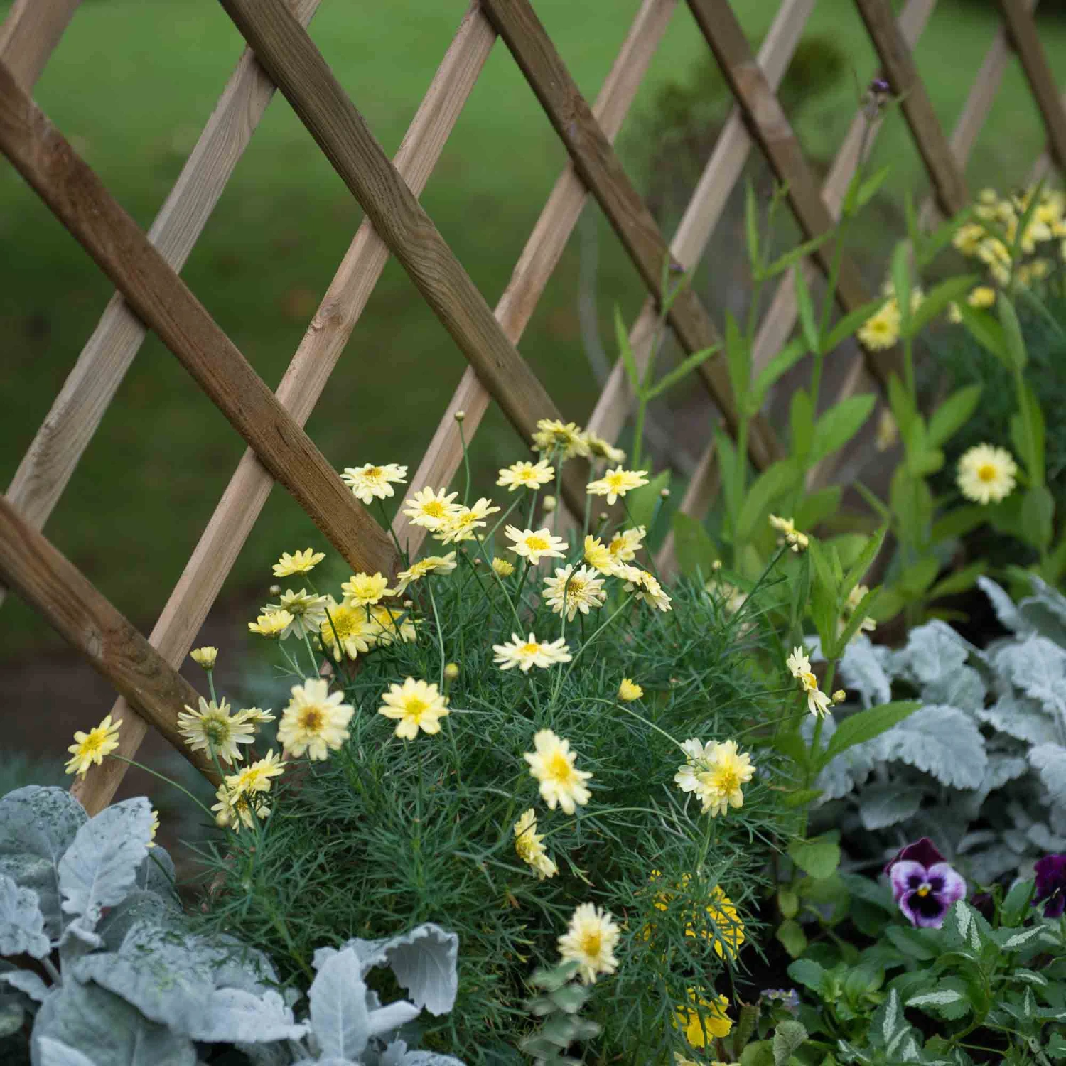 Forest Garden Venice Natural Timber Wooden Rectangular Planter 2 Forest Garden Venice Natural Timber Wooden Rectangular Planter - Image 2