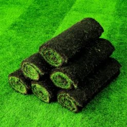 Lawn Turf, 33m² Pack 11 Lawn Turf, 33m² Pack -Outdoor Living Sales Store lawn turf 33m pack3663602195085 04i