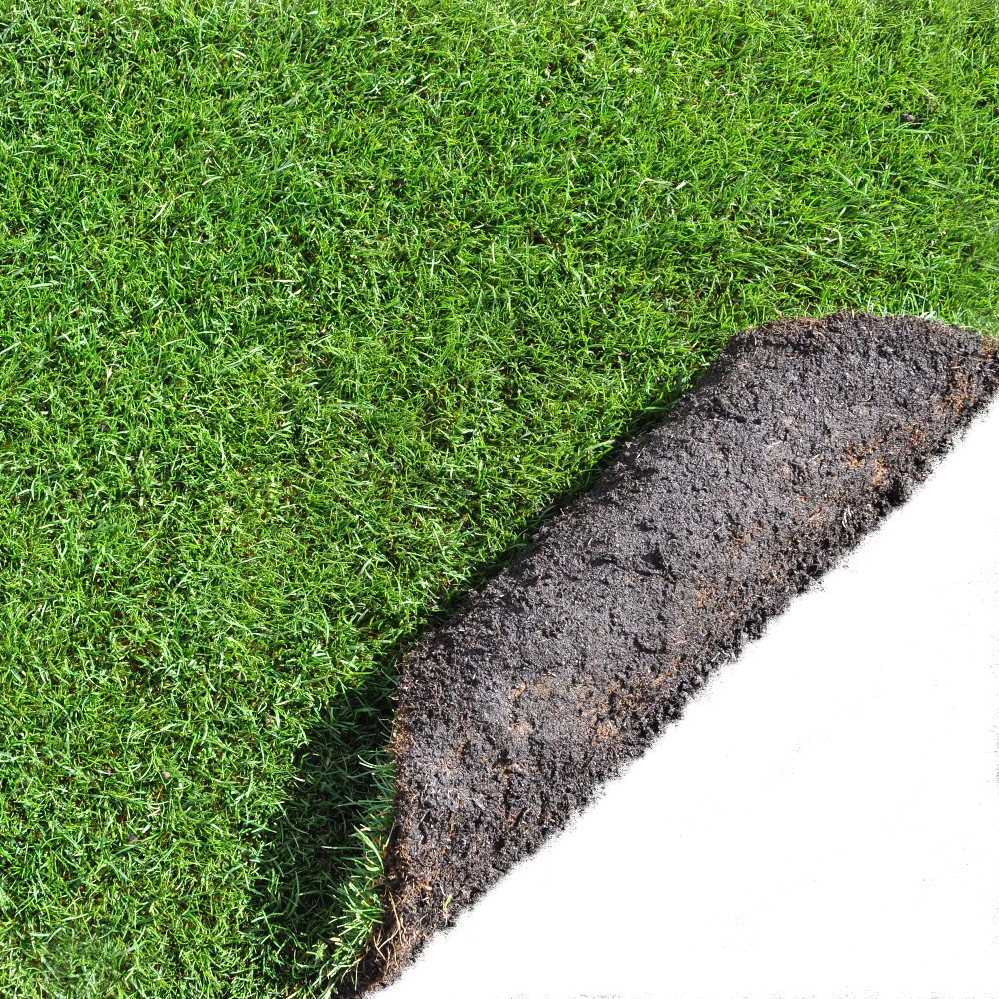 Lawn Turf, 33m² Pack 2 Lawn Turf, 33m² Pack - Image 2