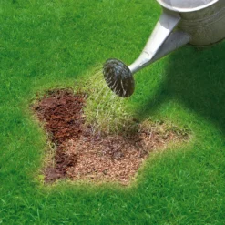 Miracle-Gro Patch Magic Lawn Patch Repairer 13m² 1L 1kg -Outdoor Living Sales Store miracle gro patch magic lawn patch repairer 13m 1l 1kg5010272090567 02i bq