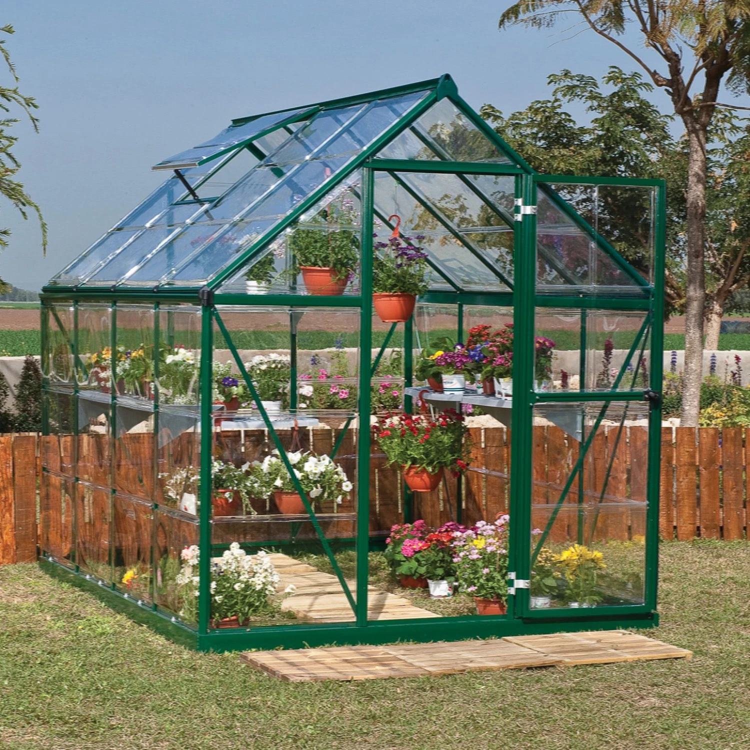 Palram - Canopia Harmony Green 6x8 Greenhouse 1 Palram - Canopia Harmony Green 6x8 Greenhouse