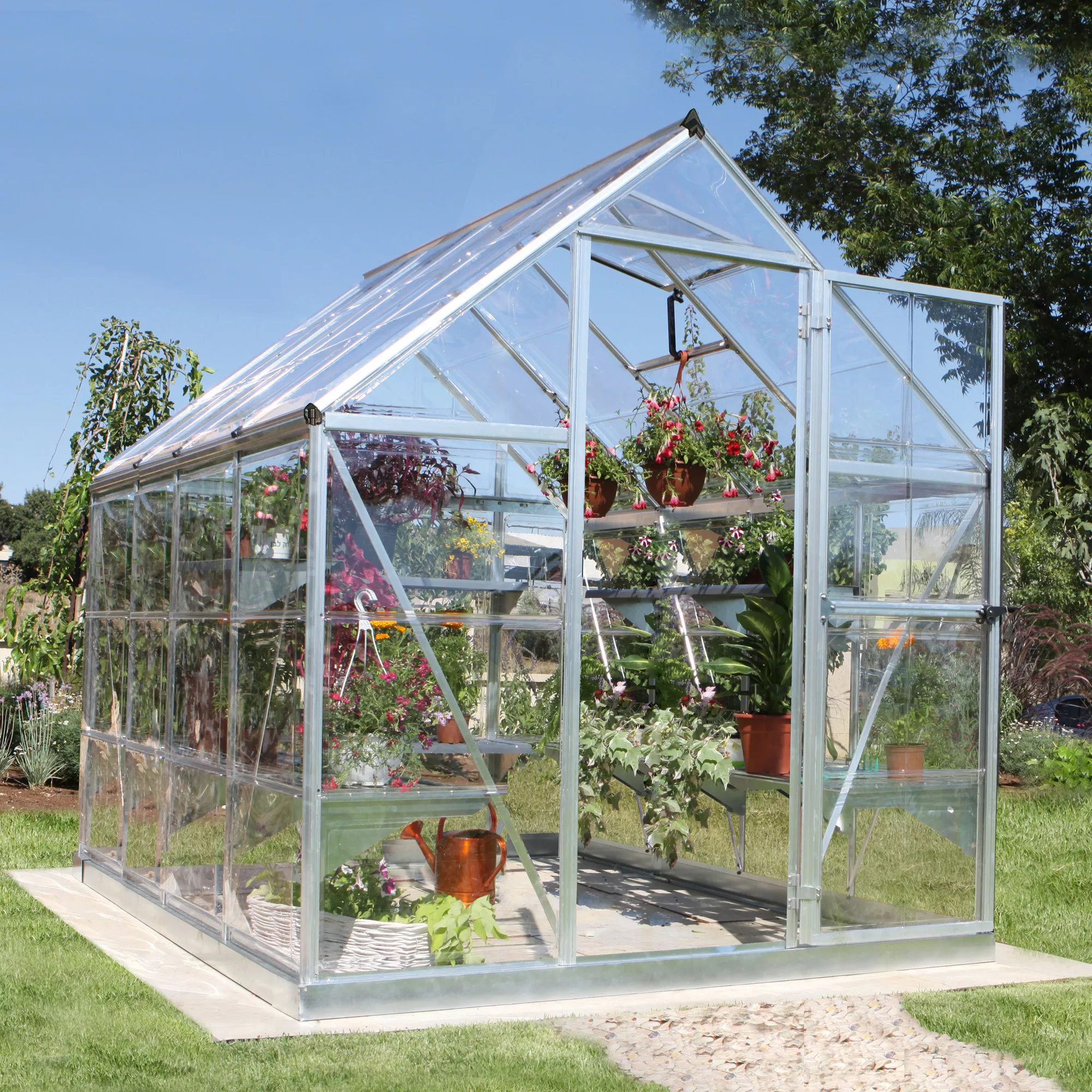 Palram - Canopia Harmony Silver 6x8 Greenhouse 6 Palram - Canopia Harmony Silver 6x8 Greenhouse - Image 6