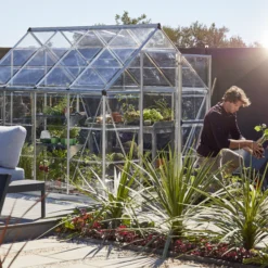 Palram - Canopia Harmony Silver 6x8 Greenhouse 28 Palram - Canopia Harmony Silver 6x8 Greenhouse -Outdoor Living Sales Store palram canopia harmony silver 6x8 greenhouse7290103110581 07i