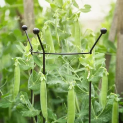 Outdoor Living Sales Store -Outdoor Living Sales Store panacea steel curved plant support frame l 147cm dia 37cm0093432825501 01i bq