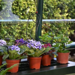 Rion Grand Gardner Green 8x8 Greenhouse -Outdoor Living Sales Store rion grand gardner green 8x8 greenhouse7290103121570 38c