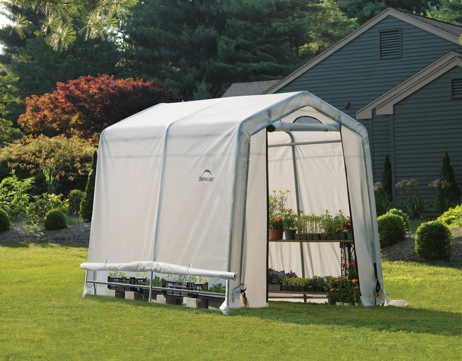 Shelterlogic White 6x8 Greenhouse 1 Shelterlogic White 6x8 Greenhouse