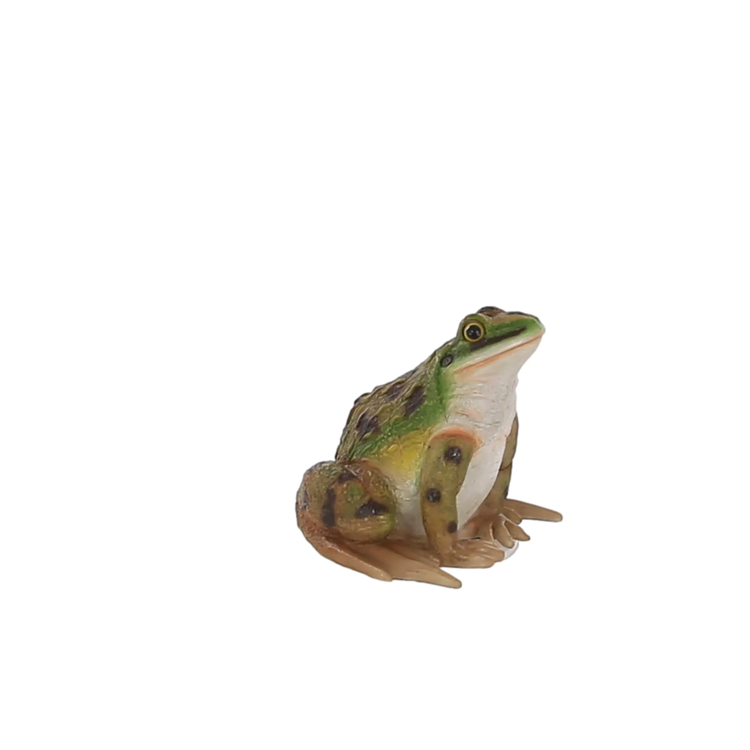 Terrastyle Green, White Resin Toad Garden Ornament (H)16.5cm 1 Terrastyle Green, White Resin Toad Garden Ornament (H)16.5cm