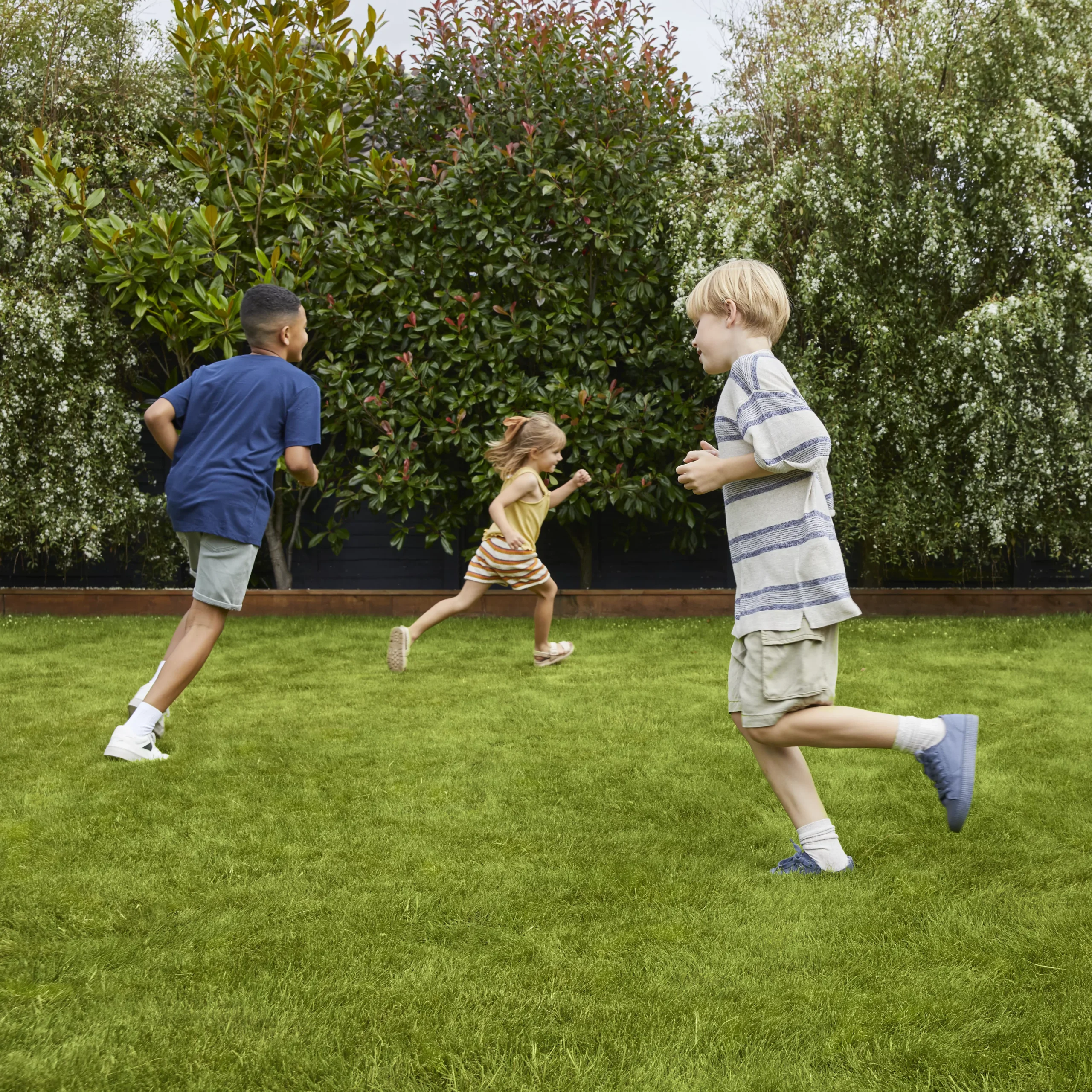 Verve Family & Sports Grass Seeds, 1.5kg 3 Verve Family & Sports Grass Seeds, 1.5kg - Image 3