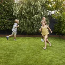 Verve Family & Sports Grass Seeds, 1.5kg 15 Verve Family & Sports Grass Seeds, 1.5kg -Outdoor Living Sales Store verve family sports grass seeds 1 5kg3663602947516 02i