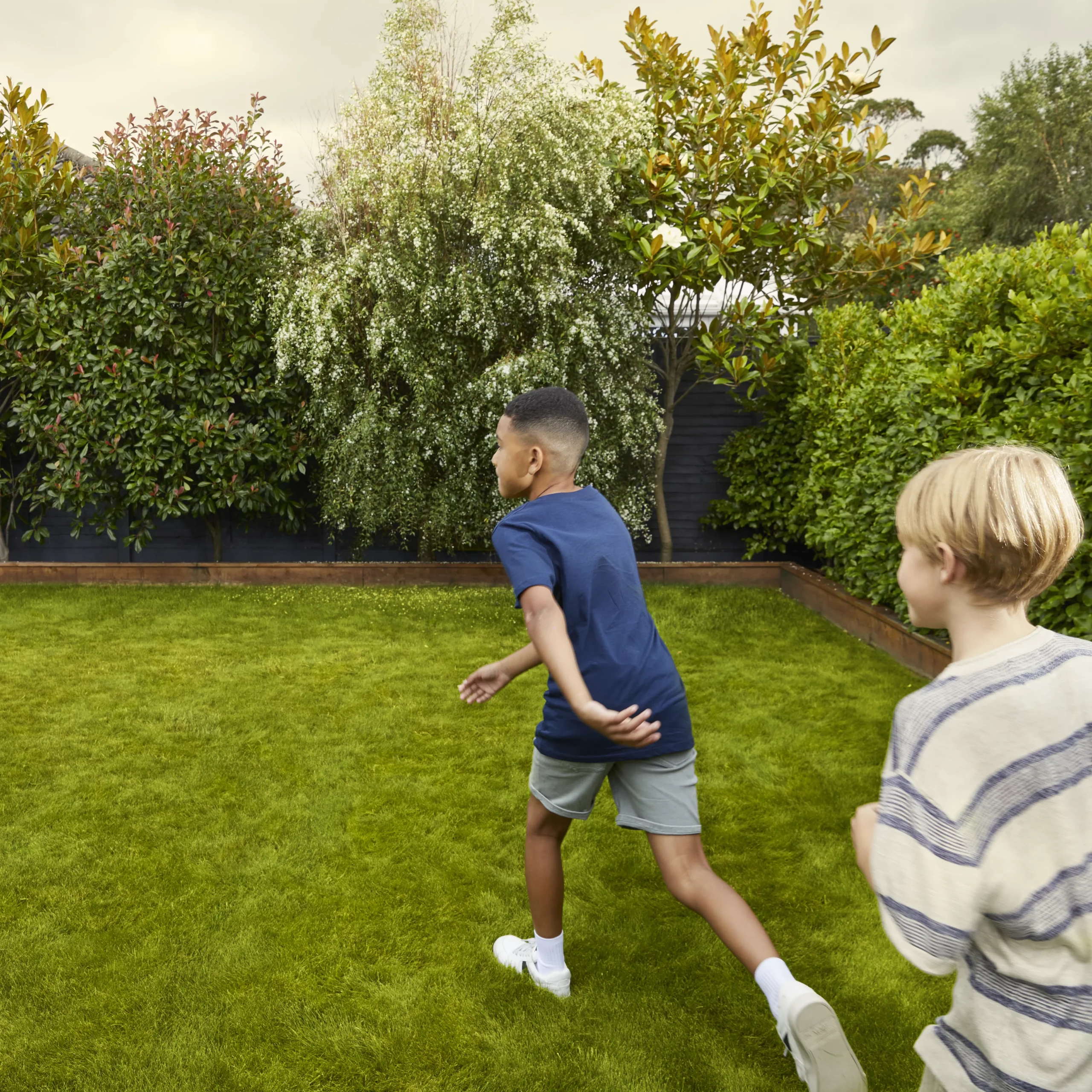 Verve Family & Sports Grass Seeds, 1.5kg 5 Verve Family & Sports Grass Seeds, 1.5kg - Image 5