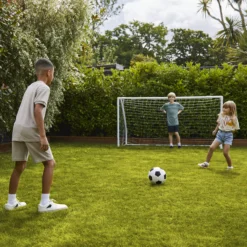 Verve Family & Sports Grass Seeds, 1.5kg 22 Verve Family & Sports Grass Seeds, 1.5kg -Outdoor Living Sales Store verve family sports grass seeds 1 5kg3663602947516 09i