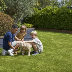 Verve Family & Sports Grass Seeds, 5kg -Outdoor Living Sales Store verve family sports grass seeds 5kg3663602947516 04i