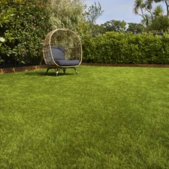 Verve Sunny Grass Seeds, 5kg 6 Verve Sunny Grass Seeds, 5kg -Outdoor Living Sales Store verve sunny grass seeds 5kg3663602947578 01i