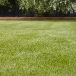 Verve Universal Grass Seeds, 5kg 5 Verve Universal Grass Seeds, 5kg -Outdoor Living Sales Store verve universal grass seeds 5kg3663602947455 01i